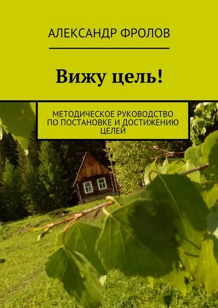 Обложка книги Вижу цель!. Методическое руководство по постановке и достижению целей, Фролов Александр