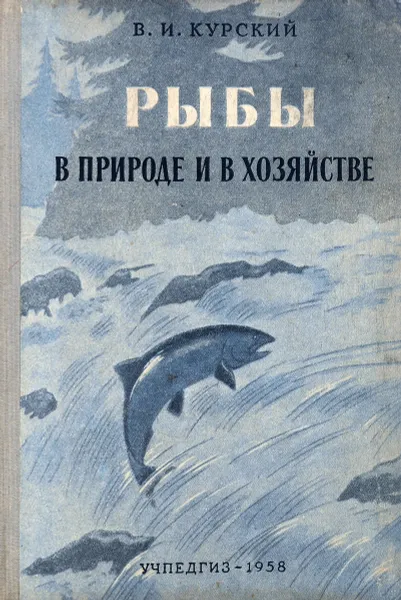 Обложка книги Рыбы в природе и в хозяйстве человека, В.И.Курский