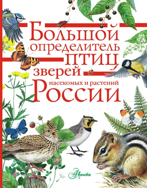 Обложка книги Большой определитель зверей, амфибий, рептилий, птиц, насекомых и растений России, П. М. Волцит