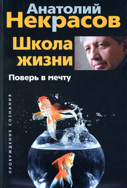 Обложка книги Школа жизни. Поверь в мечту, Анатолий Некрасов
