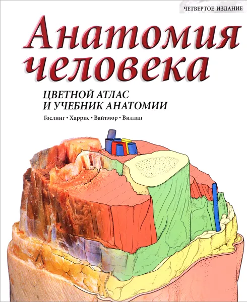 Обложка книги Анатомия человека. Цветной атлас и учебник, Дж. А. Гослинг, П. Ф. Харрис, И. Вайтмор, П. Л. Т. Виллан