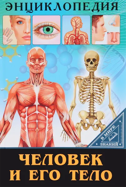 Обложка книги Человек и его тело, Оксана Балуева