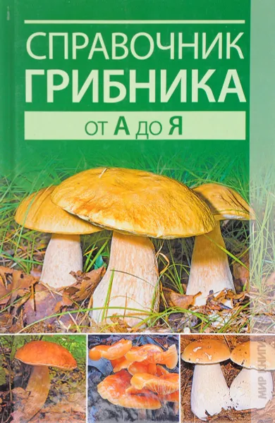 Обложка книги Справочник грибника от А до Я, Хамидова В.Р.