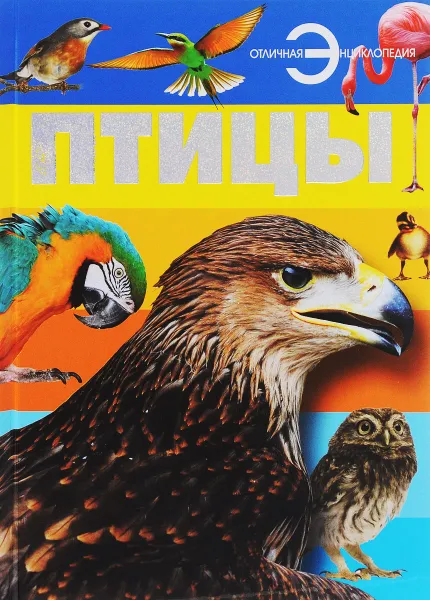 Обложка книги Птицы, А. А. Спектор