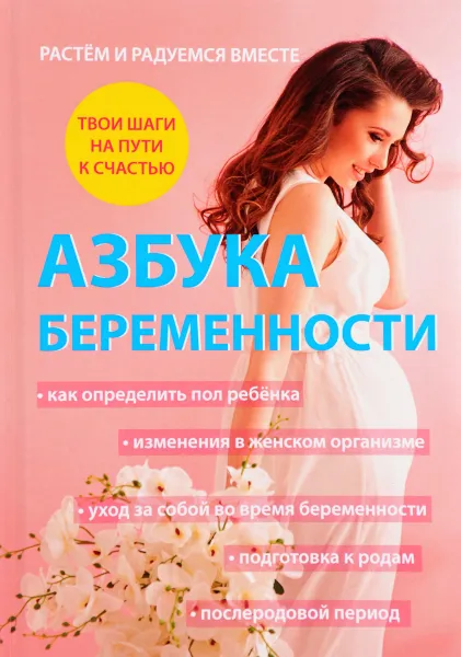 Обложка книги Азбука беременности, А. Дружинин