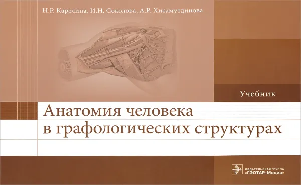 Обложка книги Анатомия человека в графологических структурах. Учебник, Н. Р. Карелина, И. Н. Соколова, А. Р. Хисамутдинова