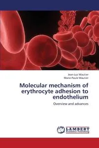 Обложка книги Molecular Mechanism of Erythrocyte Adhesion to Endothelium, Wautier Jean-Luc