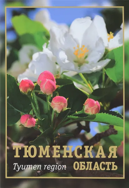 Обложка книги Тюменская область / Tyumen Region, Алексей Щукин, Ю. И. Переплеткин
