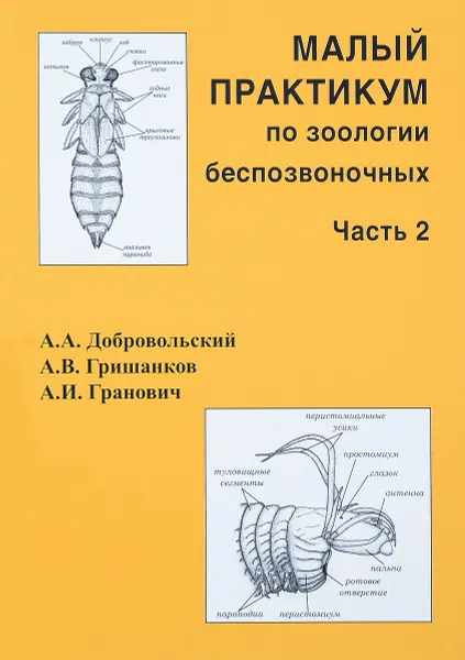 Обложка книги Малый практикум по зоологии беспозвоночных. Часть 2, А. А. Добровольский, А. В. Гришанков, А. И. Гранович