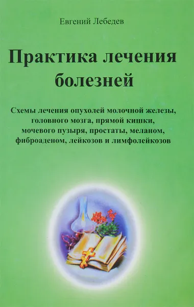 Обложка книги Практика лечения болезней, Лебедев Е.Г.