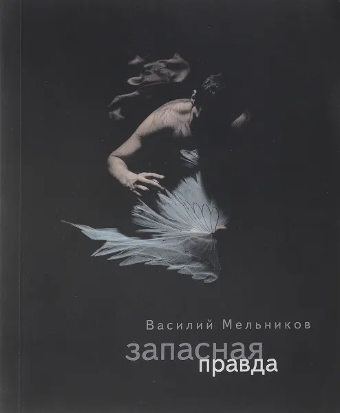 Обложка книги Запасная правда, Василий Мельников