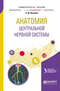 Обложка книги Анатомия центральной нервной системы. Учебное пособие для вузов, Киселев Сергей Юрьевич