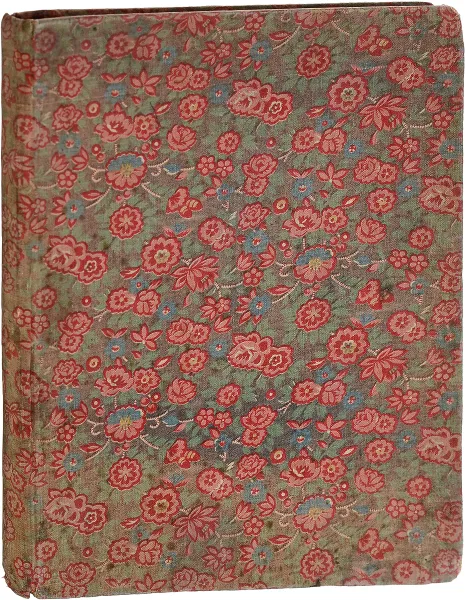 Обложка книги Чужое небо. Третья книга стихов, Гумилев Николай Степанович