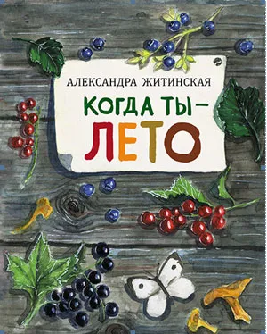 Обложка книги Когда ты - лето, Александра Житинская