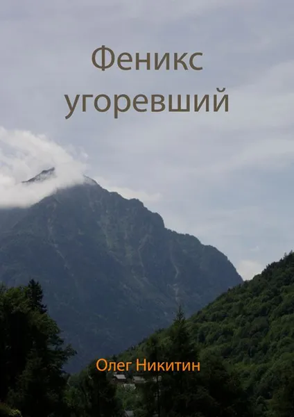 Обложка книги Феникс угоревший, Никитин Олег