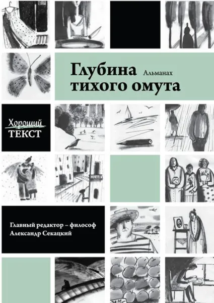 Обложка книги Глубина тихого омута, текст Хороший