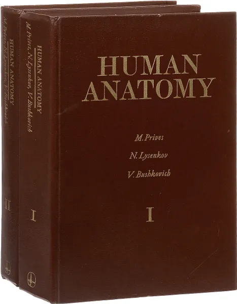 Обложка книги Human anatomy / Анатомия человека (комплект из 2 книг), Привес М.Г., Лысенков Н.К., Бушкович В.И.