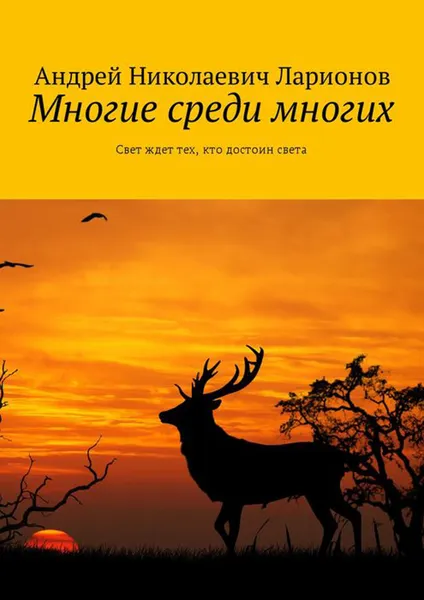 Обложка книги Многие среди многих. Свет ждет тех, кто достоин света, Ларионов Андрей Николаевич