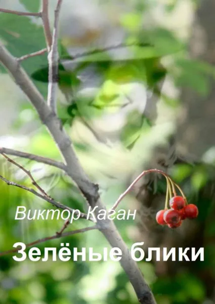 Обложка книги Зелёные блики, Каган Виктор