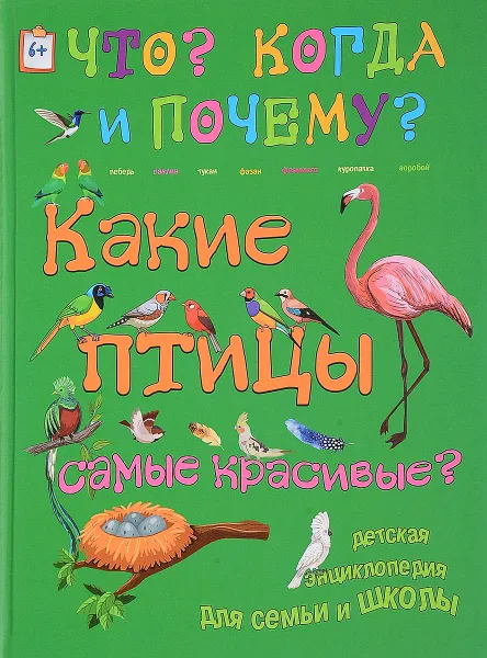 Обложка книги Какие птицы самые красивые?, В. Владимиров