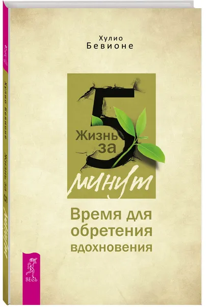 Обложка книги Жизнь за 5 минут. Время для обретения вдохновения, Хулио Бевионе