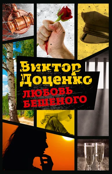 Обложка книги Любовь Бешеного, Виктор Доценко