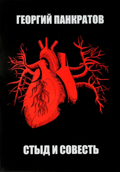 Обложка книги Стыд и совесть, Георгий Панкратов