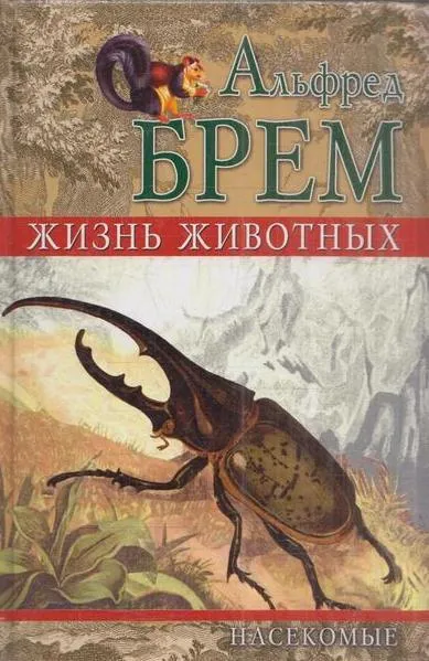 Обложка книги Жизнь животных. Насекомые. Том 1. Отряд жесткокрылые, Альфред Брем