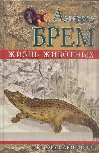 Обложка книги Жизнь животных. Пресмыкающиеся. Том 2. Отряд чешуйчатые. Отряд панцирные ящеры. Отряд черепахи. Отряд ящерогады, Альфред Брем