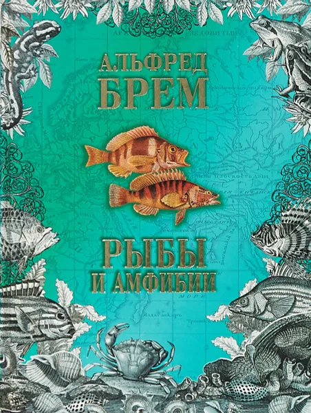 Обложка книги Рыбы и амфибии, Брем Альфред Эдмунд, Косумян А. О.