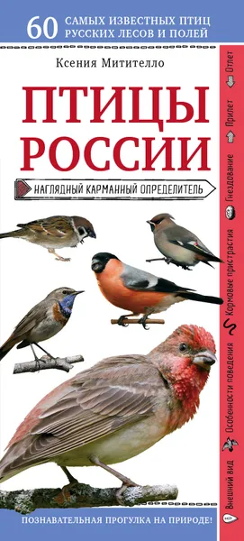 Обложка книги Птицы России. Наглядный карманный определитель, Ксения Митителло