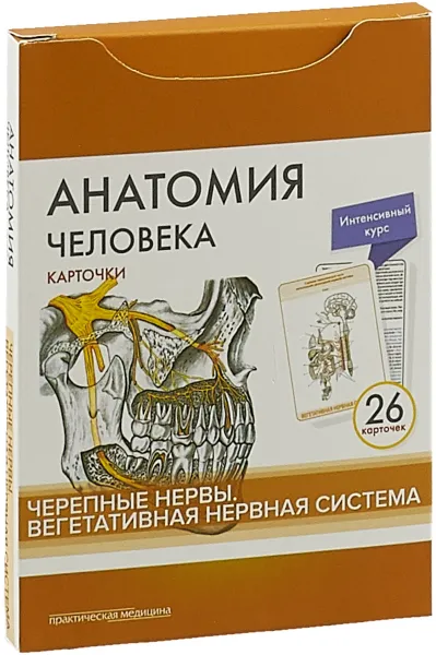 Обложка книги Анатомия человека: КАРТОЧКИ (26 шт). Черепные нервы. Вегетативная нервная система, Сапин М.Р., Николенко В.Н., Ти