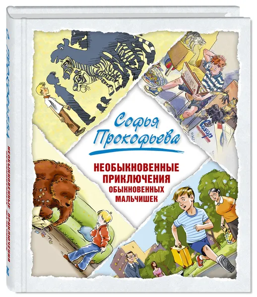 Обложка книги Необыкновенные приключения обыкновенных мальчишек, Софья Прокофьева