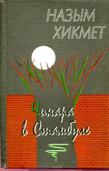 Обложка книги Чинара в Стамбуле. Избранная лирика, Назым Хикмет