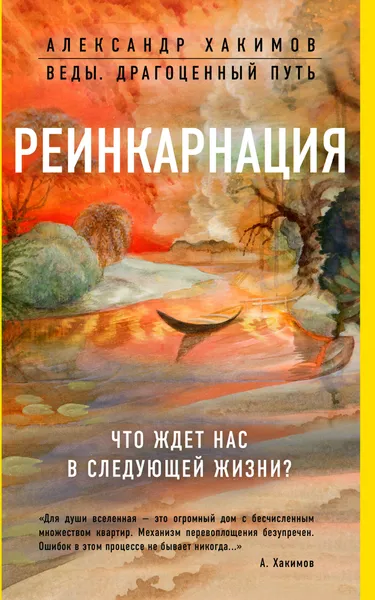 Обложка книги Реинкарнация. Что ждет нас в следующей жизни?, Хакимов Александр