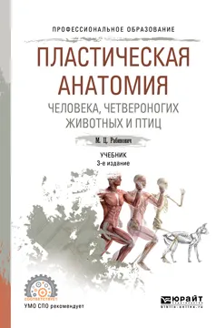 Обложка книги Пластическая анатомия человека, четвероногих животных и птиц. Учебник для СПО, М. Ц. Рабинович