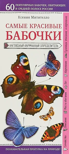 Обложка книги Бабочки. Наглядный карманный определитель, Ксения Митителло