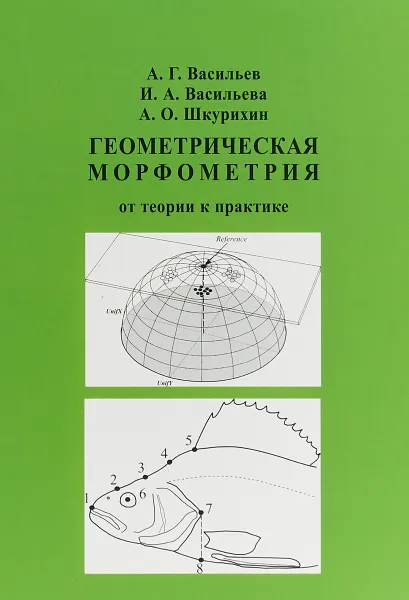 Обложка книги Геометрическая морфометрия, А. Г. Васильев