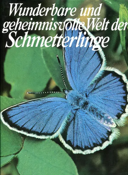 Обложка книги Wunderbare und geheimnisvolle Welt der Schmetterlinge, 