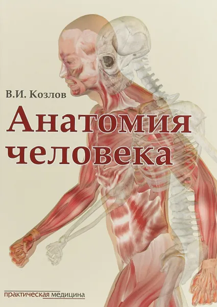 Обложка книги Анатомия человека. Учебник, В. И. Козлов