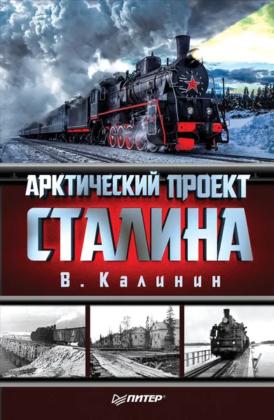 Обложка книги Арктический проект Сталина, В. Калинин
