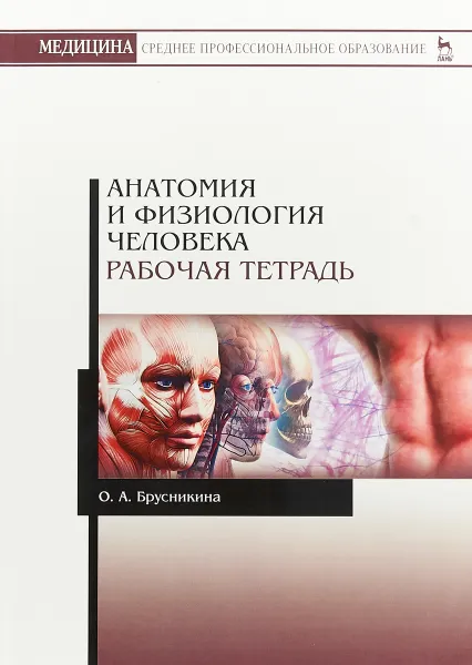 Обложка книги Анатомия и физиология человека. Рабочая тетрадь, О. А. Брусникина