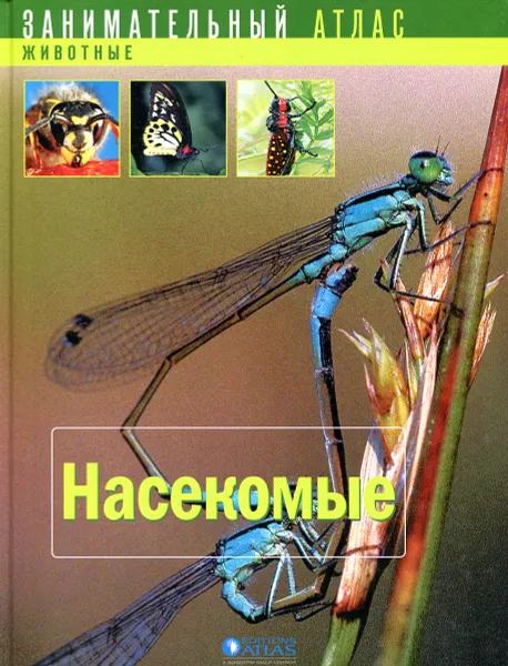 Обложка книги Насекомые, Сильвия Вэсман