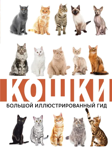 Обложка книги Кошки, Николай Непомнящий