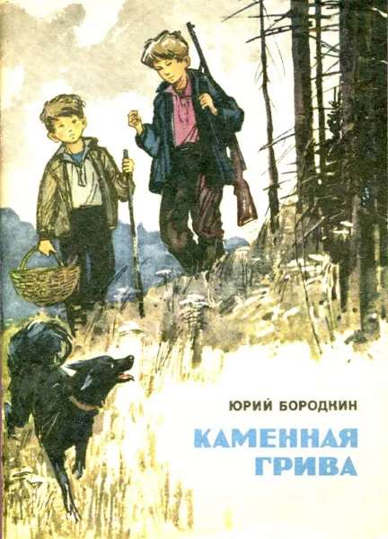 Обложка книги Каменная грива, Юрий Бородкин