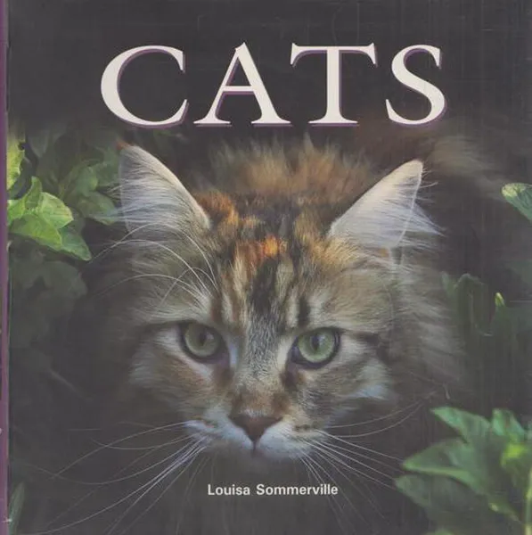 Обложка книги Cats/Кошки, Sommerville l.