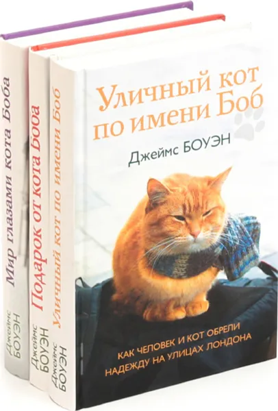 Обложка книги Джеймс Боуэн. Цико 