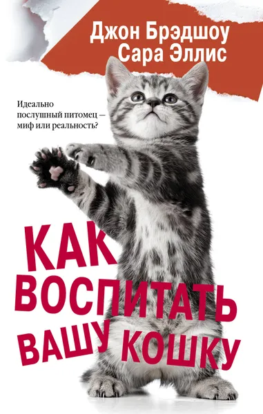 Обложка книги Как воспитать вашу кошку, Джон Брэдшоу,Сара Эллис