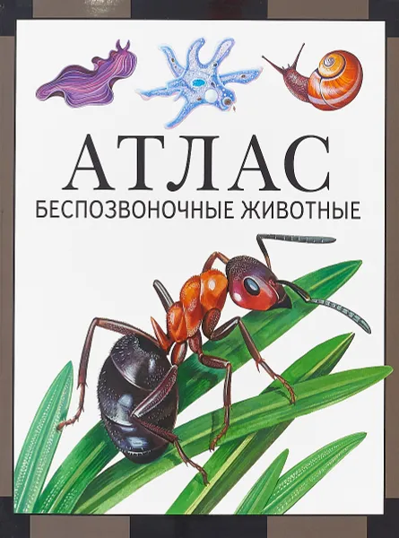 Обложка книги Атлас. Беспозвоночные животные, В. Р. Дольник, М. А. Козлов