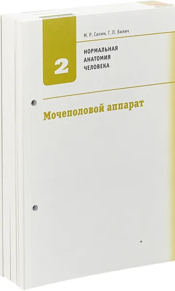 Обложка книги Нормальная анатомия человека. Учебник в 2-х книгах, Книга 2, Без обложки, съемный блок, Сапин М.Р., Билич Г.Л.